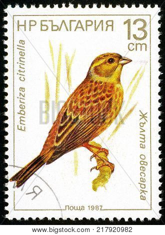 UKRAINE - circa 2017: A postage stamp printed in Bulgaria shows Yellowhammer Emberiza citrinella Series Birds circa 1987
