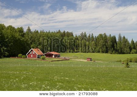 Barn In A Field