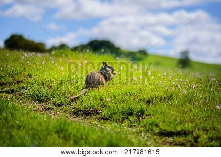 All creatures on the Earth love to eat lunch time is the best time to this. Do not disturb this one little creature when he takes his lunch.