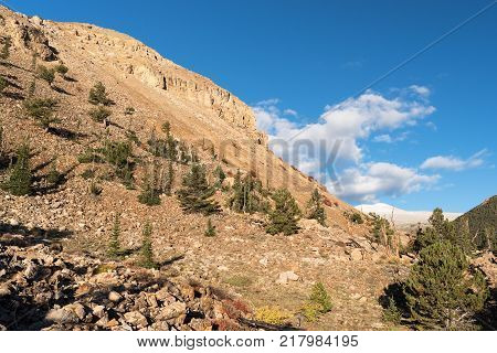 National Heritage Area with Ancient Limber Pine and Bristle Cone Pine Trees.