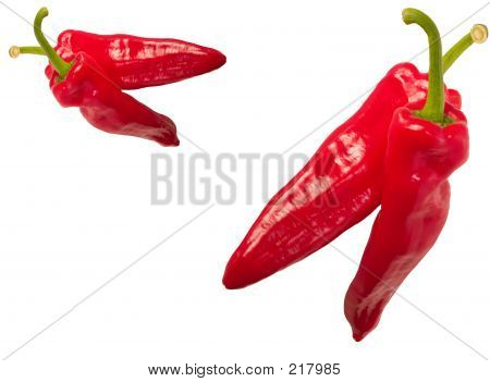 Chilli Peppers