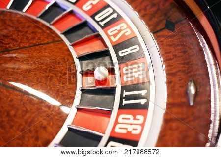 casino roulette ball on red. The concept of gambling in roulette