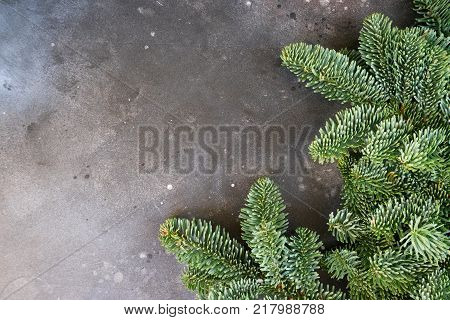 Christmas background with efresh vergreen tree banches close up on gray
