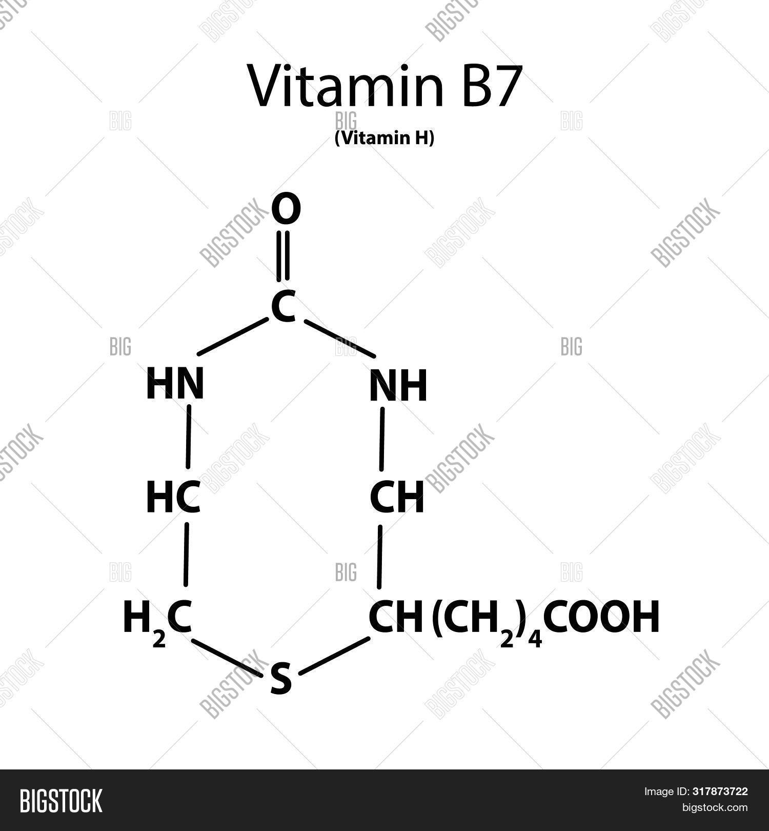 Vitamin B7. Biotin Image & Photo (Free Trial) Bigstock