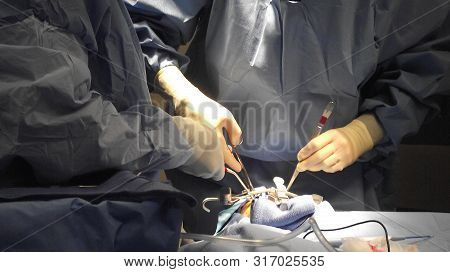 Hands Of Several Doctors Treating A Patient