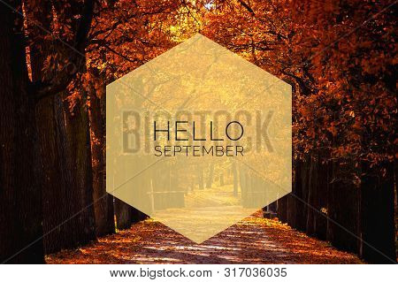 Hello September Banner. New Month. Greeting Card. Golden Autumn. The Text In The Photo. Trees In The