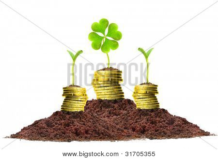 Peněžní růst. Zlatá mince v půdě s cloverleaf. Finanční metafora.