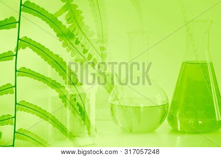 Chemical Science And Bio Technology Of Green Nature Herbal Extrac In Medical Laboratory For Backgrou