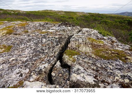 Sredniy Peninsula, Murmansk Region, Algae Thrown Surf, Shore Of The Arctic Ocean, Sredniy Peninsula