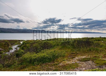 Sredniy Peninsula, Murmansk Region, Algae Thrown Surf, Shore Of The Arctic Ocean, Sredniy Peninsula