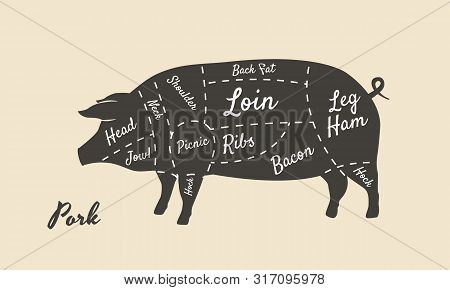 Meat Diagram. Cuts Of Meat. Pig Silhouette Isolated On White Background. Vintage Poster For Butcher 