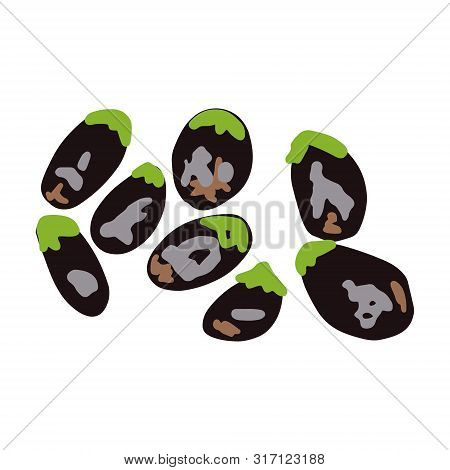 Aubergines Illustration Isolated On White Background. Flat Cartoon Style. Vector Illustration.