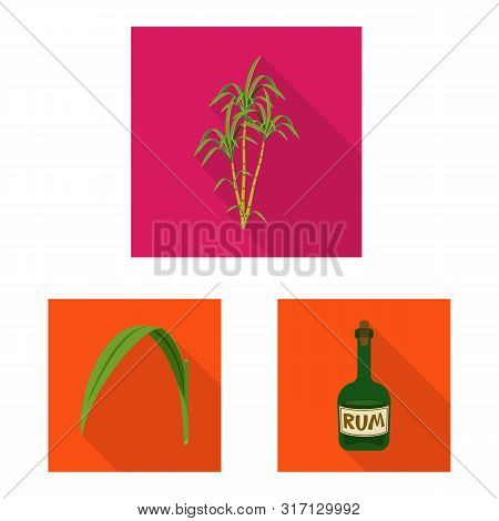 Vector Illustration Of Plant And Plantation Symbol. Collection Of Plant And Agriculture Vector Icon 