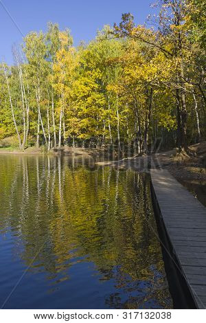 Beautiful Autumn Landscape - Trees With Bright Yellow Autumn Leaves On The Shore Of The Pond. Landsc