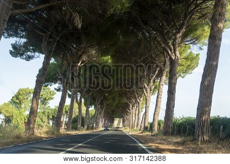 Scenic Driving On New Via Appia Road S7 With High Green  Mediterranean Pine Trees Connected Rome, La