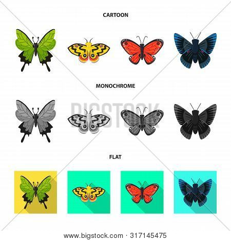 Vector Illustration Of Exotic And Botanic Icon. Set Of Exotic And Tropics Vector Icon For Stock.