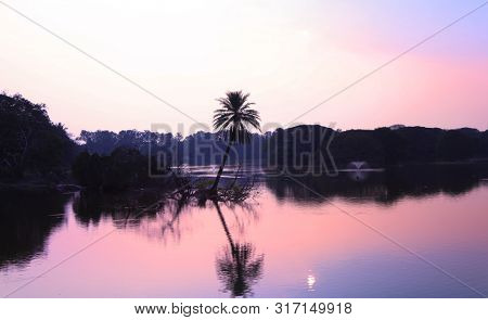 Dreamy landscape in Bangalore ,India Lalbagh botanical gardens