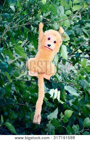 Picture Of A Toy Monkey Hanging On A Tree Branch.