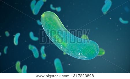 Rod-shaped Bacteria, Bacteria In Intestines Living Organism As Necessary Element Or Causative Agent 
