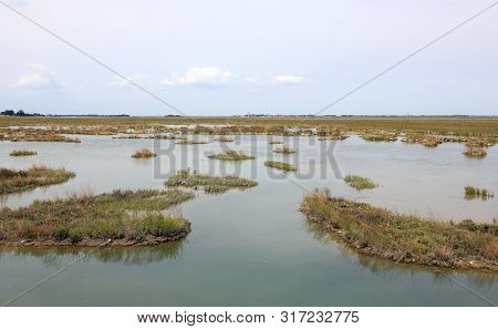 Wildness Place Called Mesole In The Lagoon Of Venice In Northern Italy In Summer