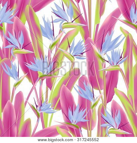 Strelitzia Reginae Tropical Flower Vector Seamless Pattern. Jungle Exotic Tropical Plant Fabric Desi