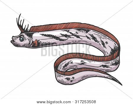 Giant Oarfish Fish Animal Color Sketch Engraving Vector Illustration. Scratch Board Style Imitation.