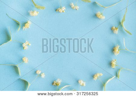 Yellow Flowers Of Fragrant Linden Macro On A Blue Background. Healing Plant. Copy Space