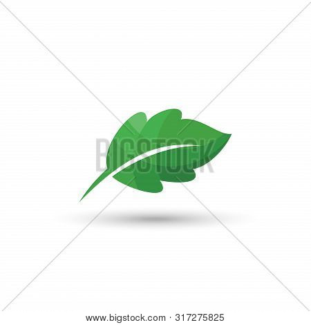 Green Leaf Logo, Green Leaf Vector Eps10, Leaf Icon Vector, Leaf Icon Eps, Leaf Icon Jpg, Leaf Icon 