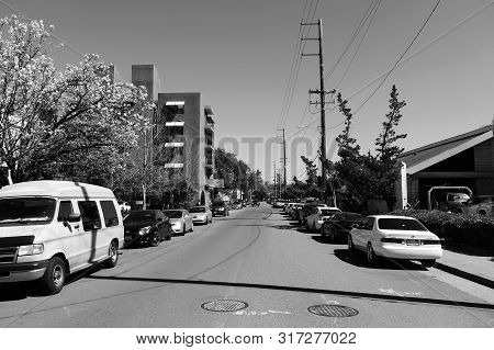 Palo Alto, California/usa - 03.30.2018: The Spring On A Street Of Palo Alto City. No People.