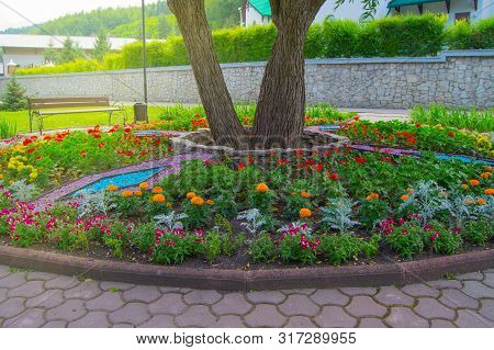 Round Flower Bed With Colorful Decorative Flowers And Plants, Garden Bench Stands On The Paving Tile