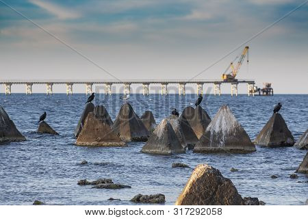 Seascape. Stones And Concrete Pyramids With Cormorants And Seagulls In The Sea Against The Backgroun