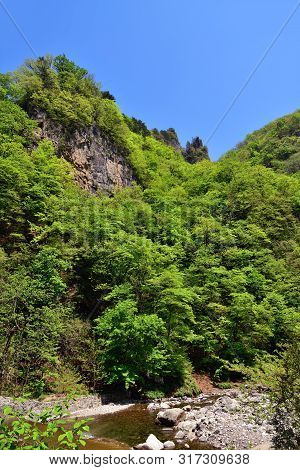 North Korea. Amazing Scenery. Mountains Covered With Korean Maples And Small Mountains Stream