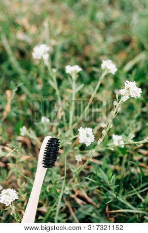 Bamboo Toothbrush With Green Grass Background. Zero Waste
