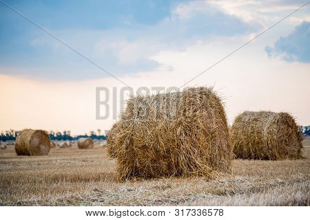 Big Round Haystacks On Field In Countryside