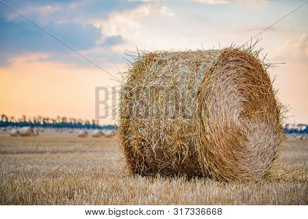 Big Round Haystacks On Field In Countryside
