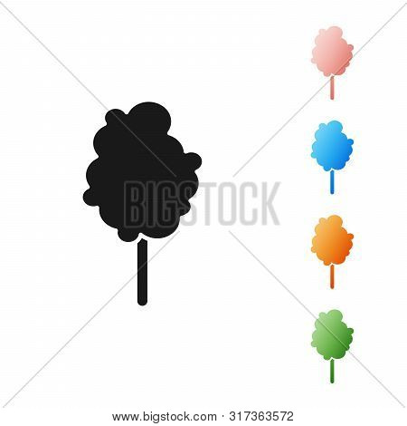Black Cotton Candy Icon Isolated On White Background. Set Icons Colorful. Vector Illustration