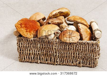 Various Forest  Mushrooms In Basket On Fabric Background. Fresh Raw Fungus On Table. Scaber Stalk (b