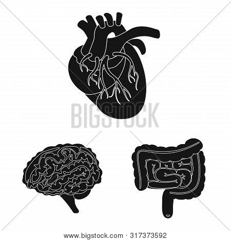 Vector Illustration Of Research And Laboratory Sign. Set Of Research And Organ Vector Icon For Stock