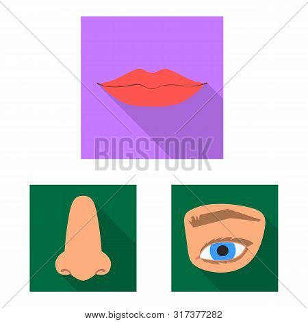 Isolated Object Of Body And Part Logo. Set Of Body And Anatomy Vector Icon For Stock.
