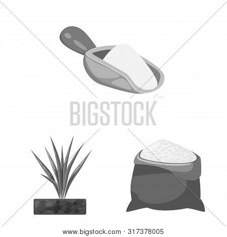 Vector Illustration Of Food And Organic Icon. Set Of Food And Agricultural Stock Vector Illustration