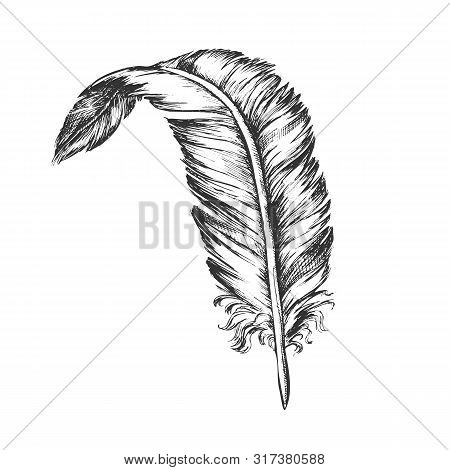 Decorative Bird Element Feather Vintage . Standing Feather Cover Exterior Flyer Body Detail Writer A