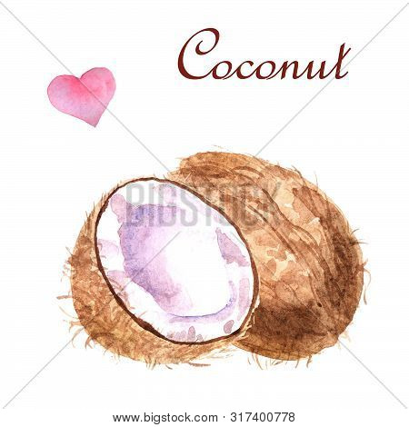 Watercolor Tropical Composition With Coconut On A White Background