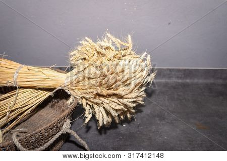 Ears Of Wheat On Black Background Texture