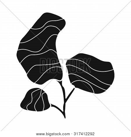 Isolated Object Of Seaweed And Coral Icon. Set Of Seaweed And Organic Vector Icon For Stock.