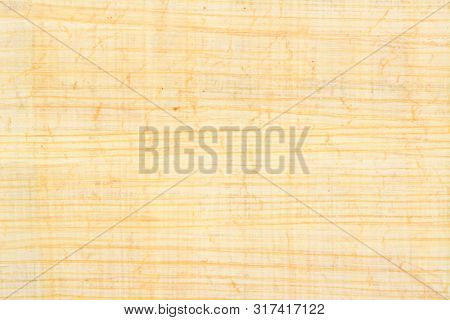 Authentic Egypt Papyrus Paper Background And Texture Number 35. Closeup Macro.