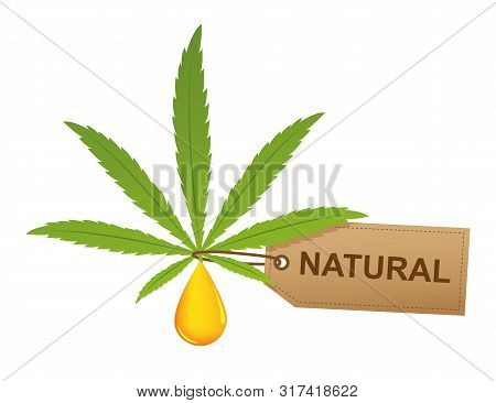 Cannabis Leaf With Oil Drop And Natural Label Isoladet On White Background Vector Illustration Eps10
