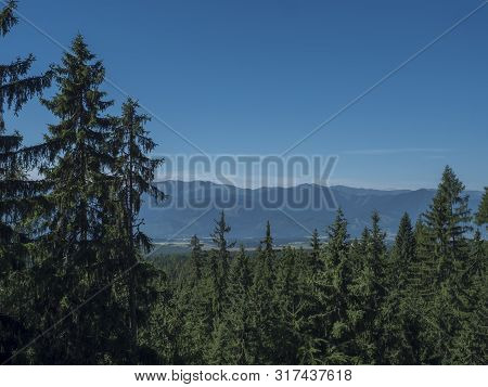Mountain Valley With Meadow, Spruce Tree Forest, Green Fileds And With Blue Misty Slopes Of Low Tatr
