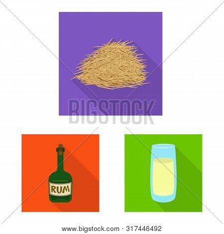 Isolated Object Of Plant And Plantation Symbol. Collection Of Plant And Agriculture Vector Icon For 
