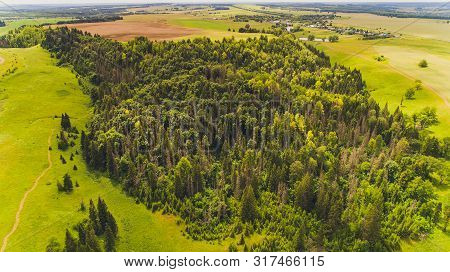 Spruce Forest Near By Coast Of Lake Morskoy Glaz Or Sea Eye, Village Shariboksad, Mari El Republic, 