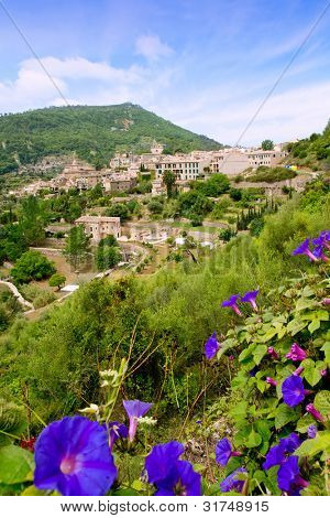 Valldemossa fra Mallorca udsigt fra lilla Ipomea blomster forgrund
